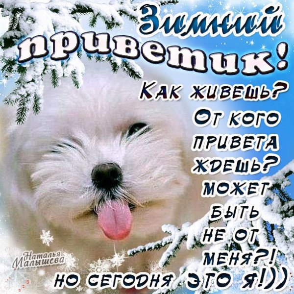 Привет с добрым зимним утром