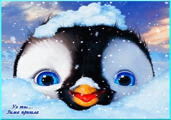 Доброе утро Пингвин