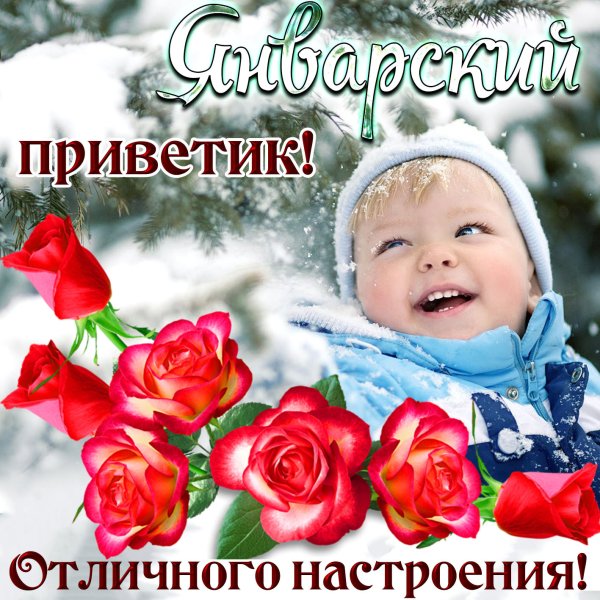 Зимний приветик открытки