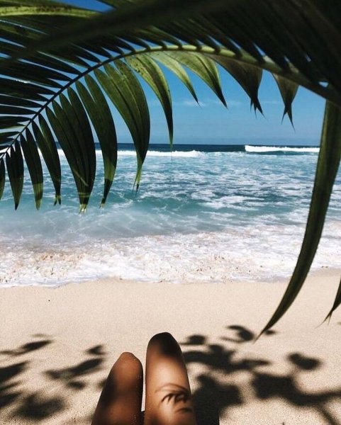 Море пальмы девушка