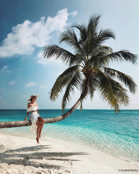 Девушка на Пальме