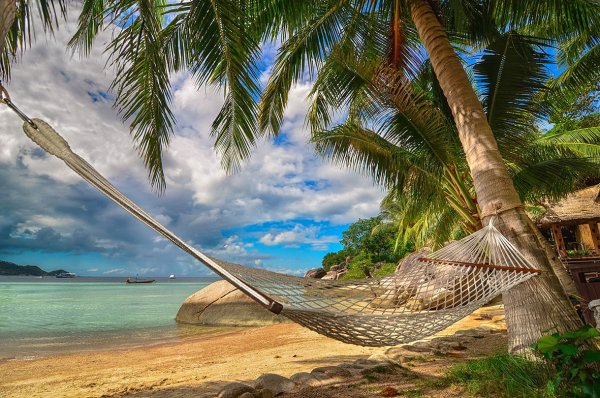 Гамак на пляже с пальмами