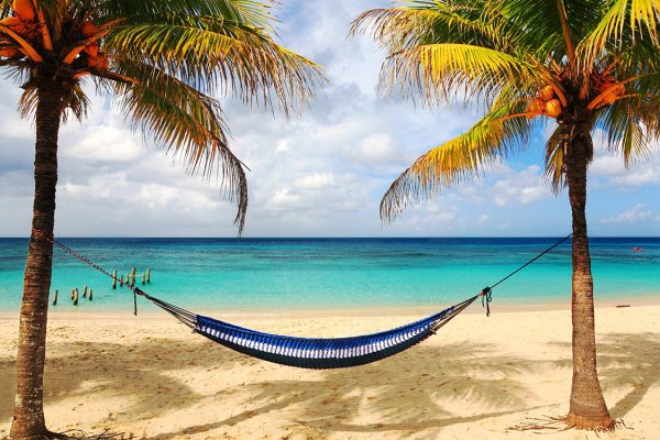 Море пальмы гамак