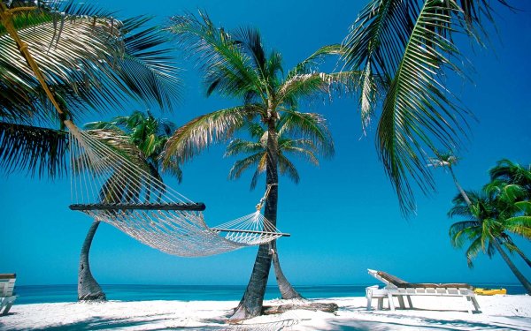Гамак на Пальме
