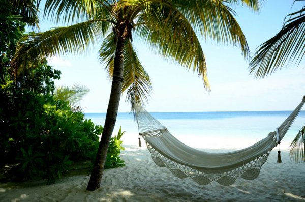 Гамак на берегу