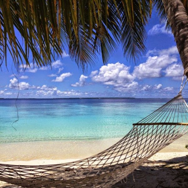 Гамак на пляже с пальмами