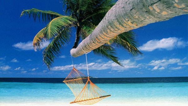 Гамак на Пальме