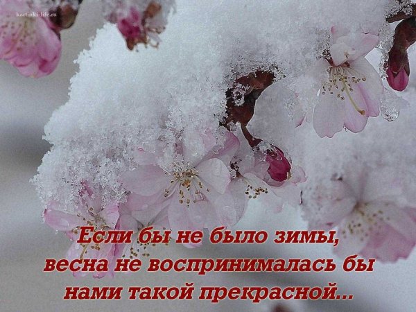 Статусы про зиму красивые