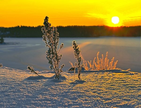 Снег и солнце