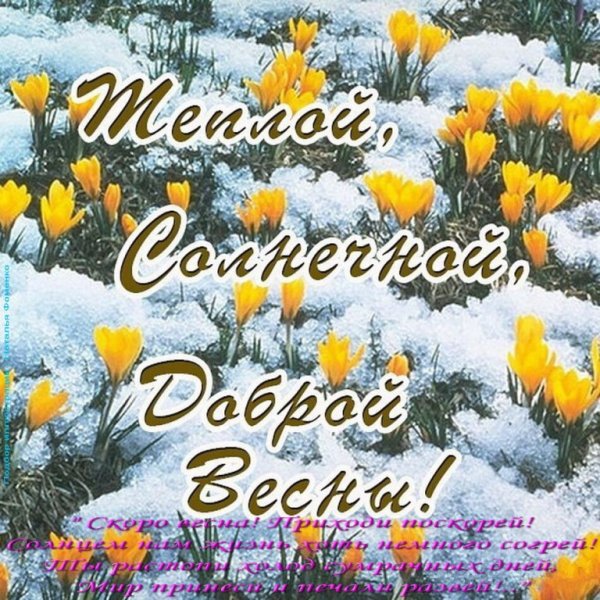 Доброе Весеннее Снежное утро