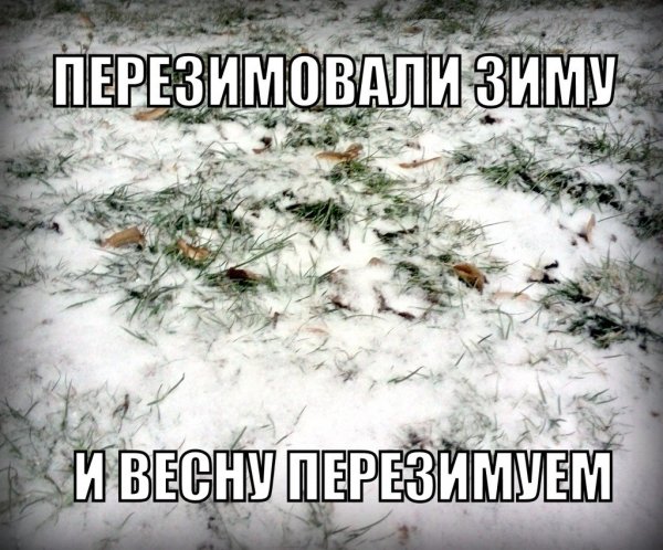 Снег в мае приколы