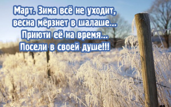 Цитаты про зиму и весну