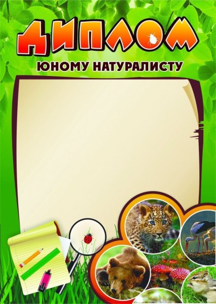 Рамки для дипломов школьные