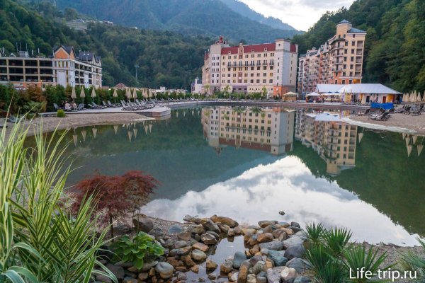 Роза Бич красная Поляна