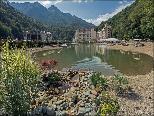 Роза Бич красная Поляна