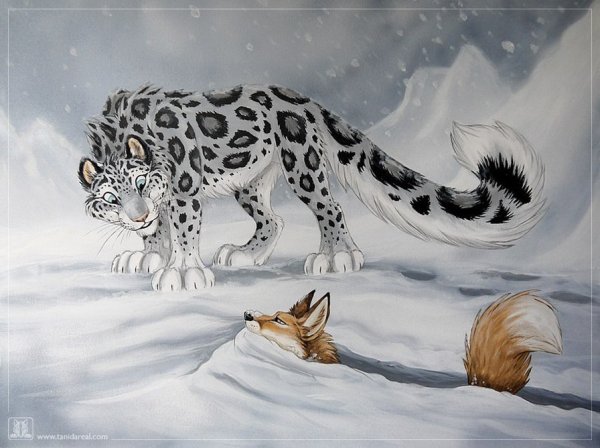 Коты Воители снежный Барс