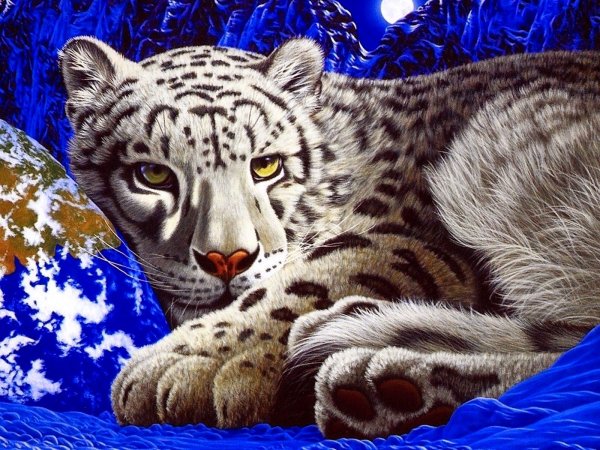 Снежный Барс и тигр