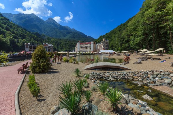 Роза Бич красная Поляна