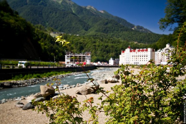 Rosa Beach Эсто садок