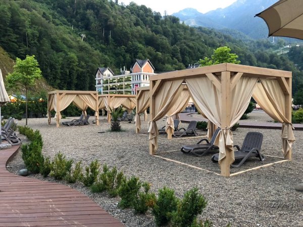 Роза Бич красная Поляна