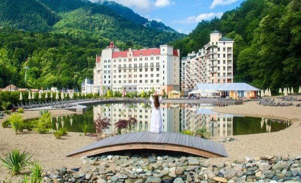 Голден Тюлип роза Хутор