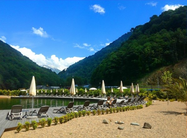 Роза Бич красная Поляна