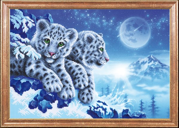 Кентаро Нишино тигры