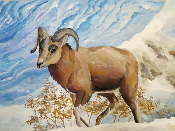 Снежный баран арт