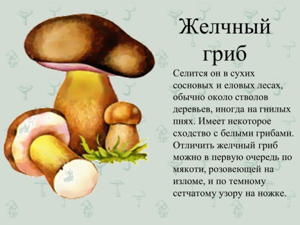 Желчный гриб и другие с 114-115 атлас