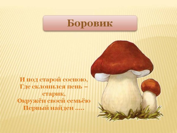 Грибы для детей