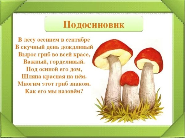 Царство грибов для дошкольников