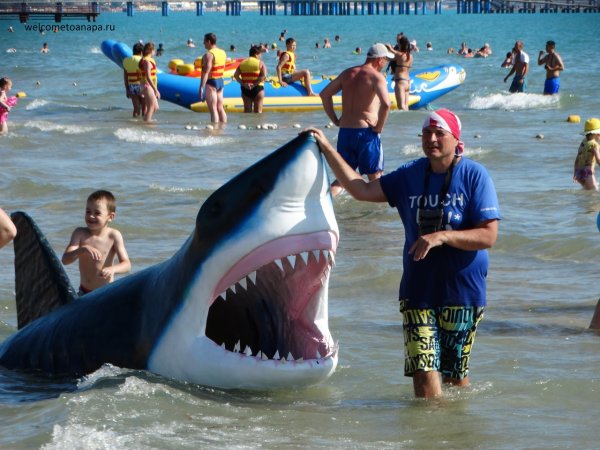 Анапа акула Витязево