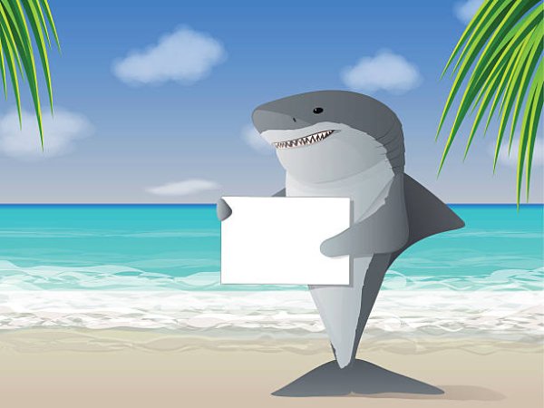 Знак акула на пляже