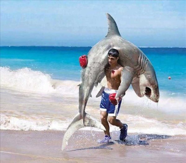 Приколы про море