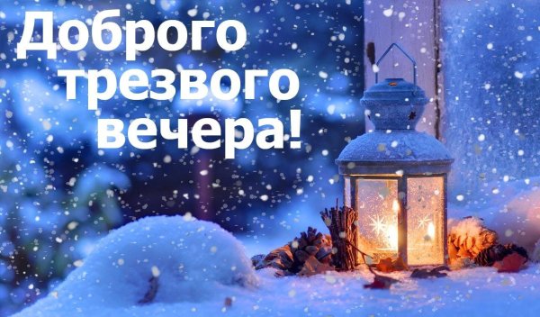 Трезвый вечер