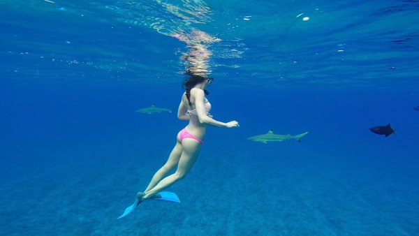 Остров Бора Бора акулы