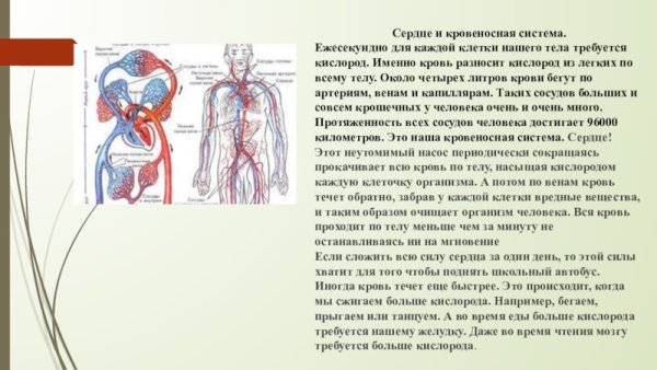 Кровеносная система человека 3 класс окружающий мир доклад