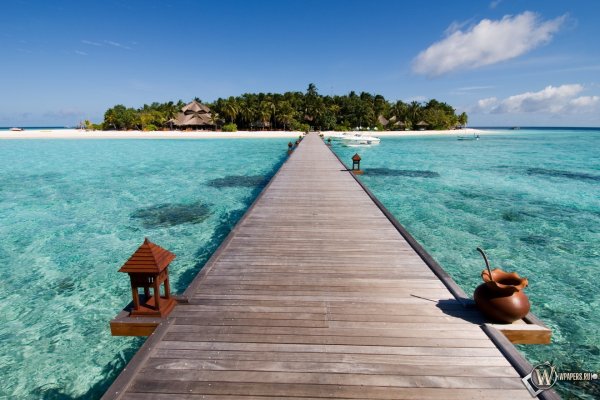 Красивый вид на море