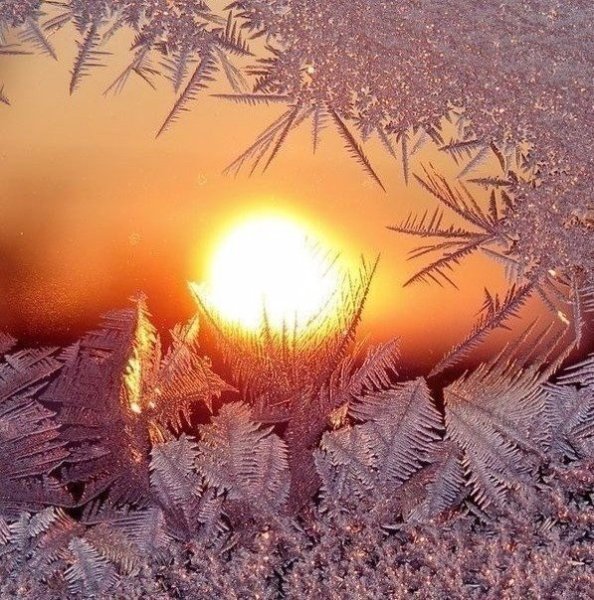 Прекрасного морозного утра