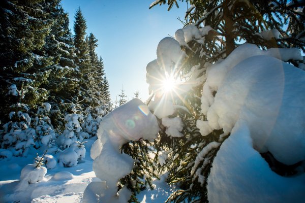 Прекрасного зимнего дня