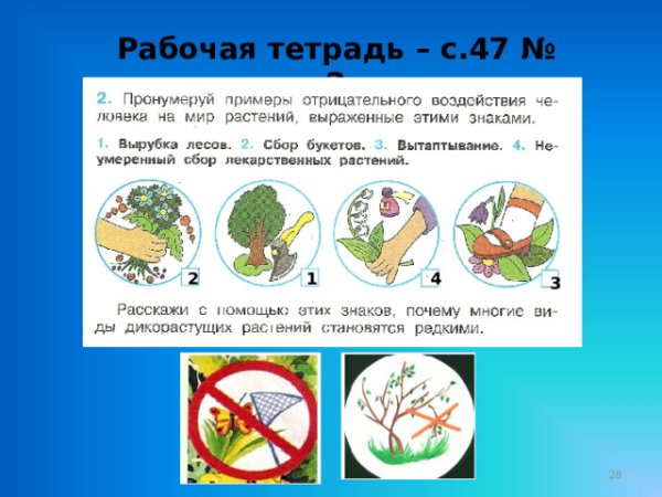 Охрана растений