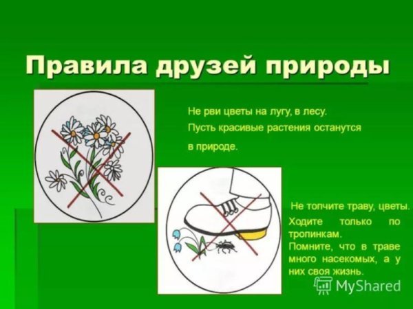 Тема береги растения