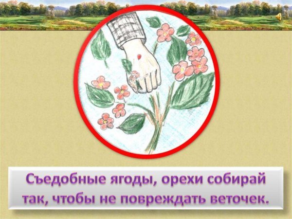 Картинки на тему охрана растений