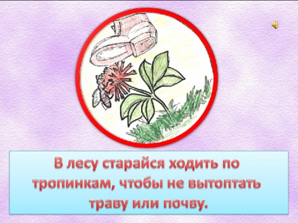 Правила берегите растения