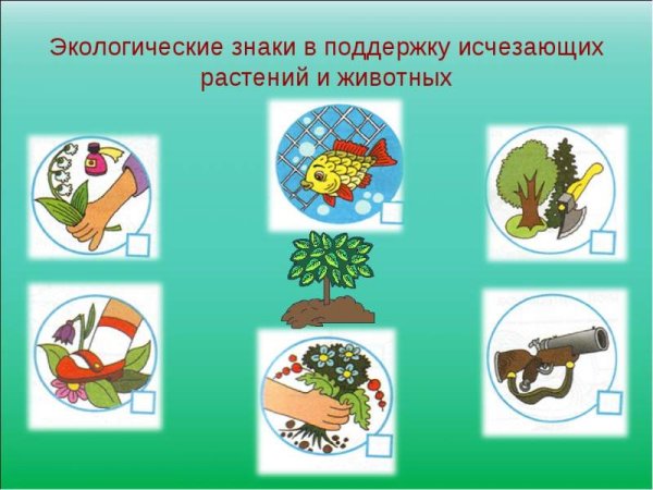 Природоохранные знаки для детей в картинках