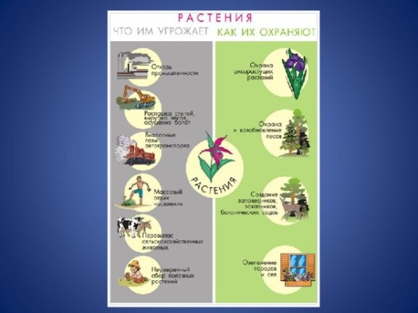Охрана растений