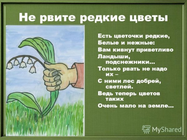 Берегите растения