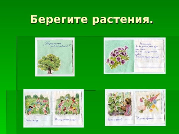 «Как делать книжку малышку из бумаги для 3 класса растения?» — Яндекс Кью