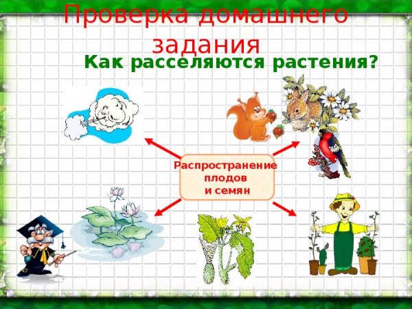 Охрана растений 3 класс