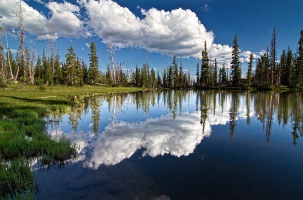 Красота окружающей природы